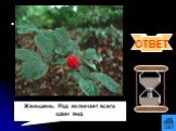 Вопрос 10. Панакс (от греческого «пан»- всё и «акос»- исцеляющий)- это родовое название дал растению К.Линней в 1753 году. Что это за растение? Что вам о нём известно? Женьшень. Род включает всего один вид.