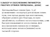 5.Выбор и обоснование параметров рабочих органов плуга(лемеха, доски) Босой. Трапециевидные лемеха (рис. 1, а) устанавливают на корпуса для вспашки легких почв, они проще других при изготовлении, образуют ровное дно борозды, но хуже заглубляются, особенно на плотных почвах, у них быстрее изнашиваетс