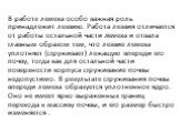 В работе лемеха особо важная роль принадлежит лезвию. Работа лезвия отличается от работы остальной части лемеха и отвала главным образом тем, что лезвие лемеха уплотняет (сгруживает) лежащую впе­реди его почву, тогда как для остальной части поверхности корпуса сгруживание почвы недопустимо. В резуль