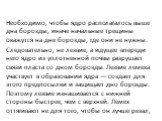 Необходимо, чтобы ядро рас­полагалось выше дна борозды, иначе начальные трещины окажутся на дне борозды, где они не нужны. Следовательно, не лезвие, а идущее впереди него ядро из уплотнен­ной почвы разрушает связи пласта со дном борозды. Лезвие лемеха участвует в образовании ядра — создает для этого