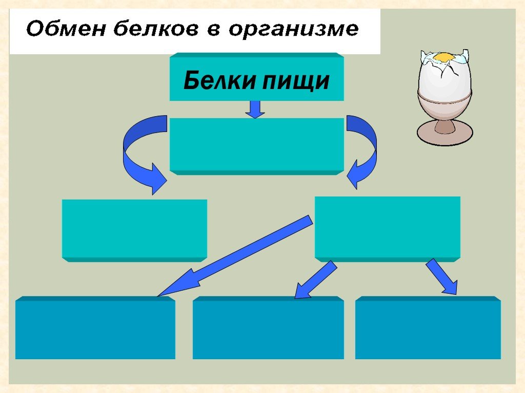 Тем обмен. Диктант по теме "обмен веществ, покровы, выделение".