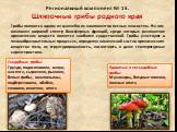 Региональный компонент № 15. Шляпочные грибы родного края. Грибы являются одним из важнейших компонентов лесных экосистем. На них возложен широкий спектр биосферных функций, среди которых разложение органических веществ является наиболее существенной. Грибы участвуют в почвообразовательных процессах
