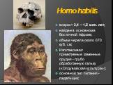 Homo habilis. возраст 2,4 – 1,5 млн. лет; найден в основном в Восточной Африке; объем черепа около 670 куб. см; Изготавливал примитивные каменные орудия - грубо обработанную гальку («Олдувайская культура»); основной тип питания - падальщик;