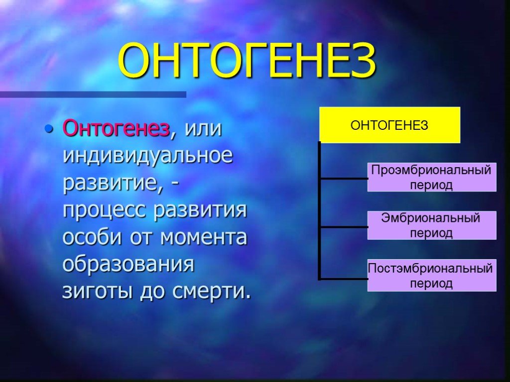 Цикл онтогенез. Онтогенез. Процесс развития в онтогенезе. Онтогенез эмбриональный и постэмбриональный периоды. Онтогенез это в биологии.