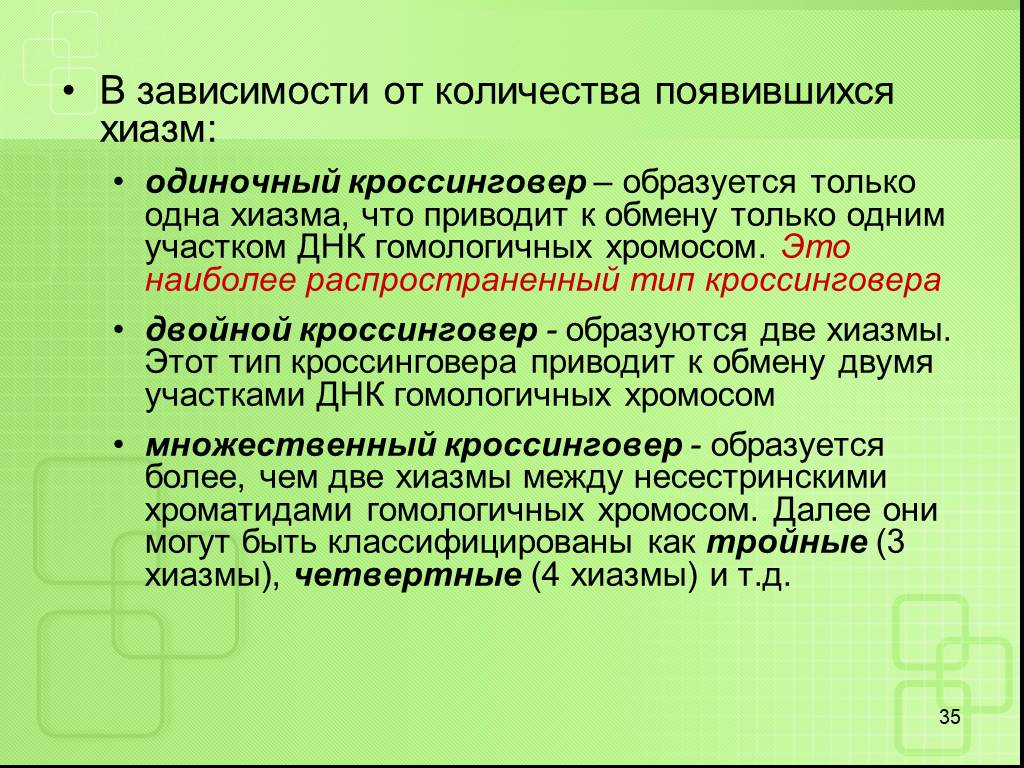 Сколько образуется. Двойной и множественный кроссинговер. Множественный кроссинговер. Одиночный кроссинговер. Хиазмы кроссинговер.