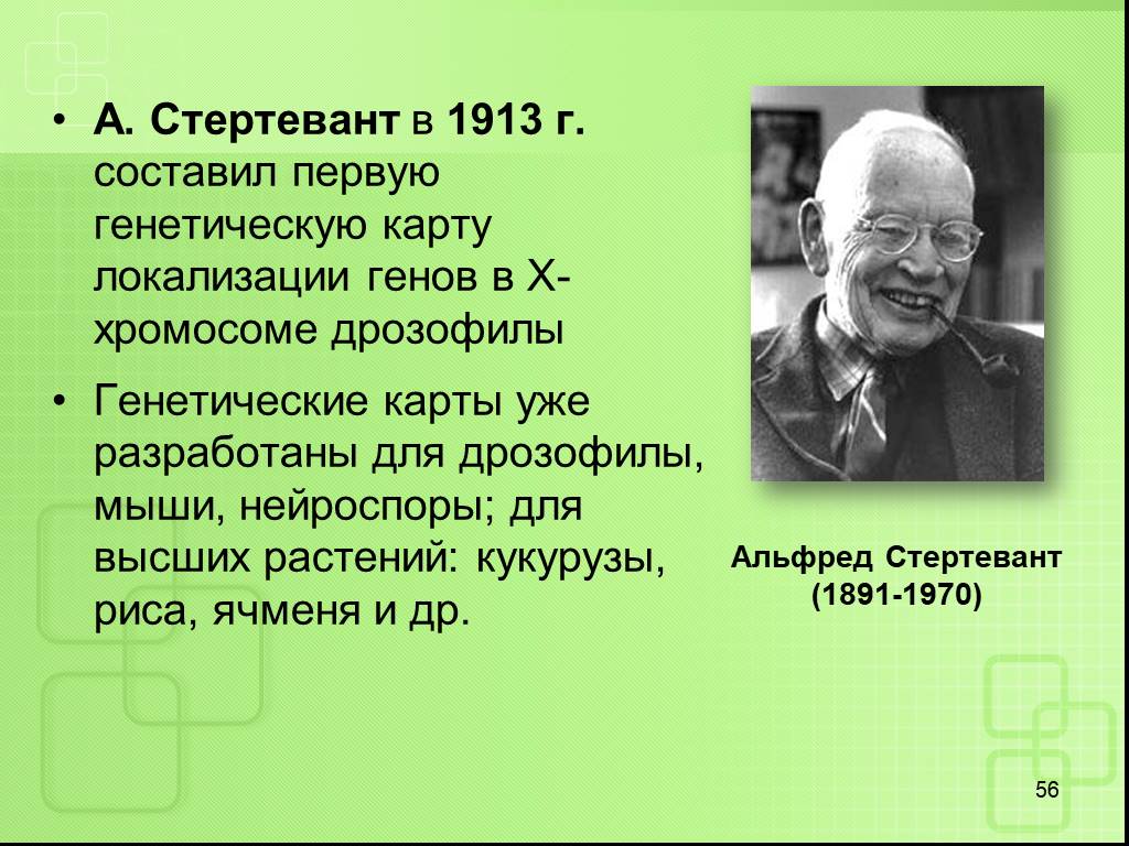 Первая генетическая. Стертевант генетик. Альфред Стертевант. Альфред Стертевант вклад в генетику. Стертевант генетика карта.