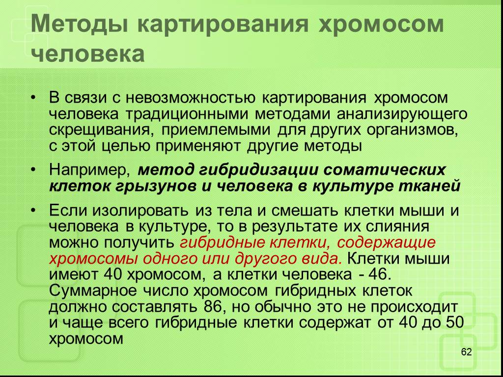 Метод хромосом. Метод лежащий в основе картирования хромосом человека. Методы генетического картирования хромосом человека. Метод гибридизации соматических клеток для картирования хромосом. Методы картирования.