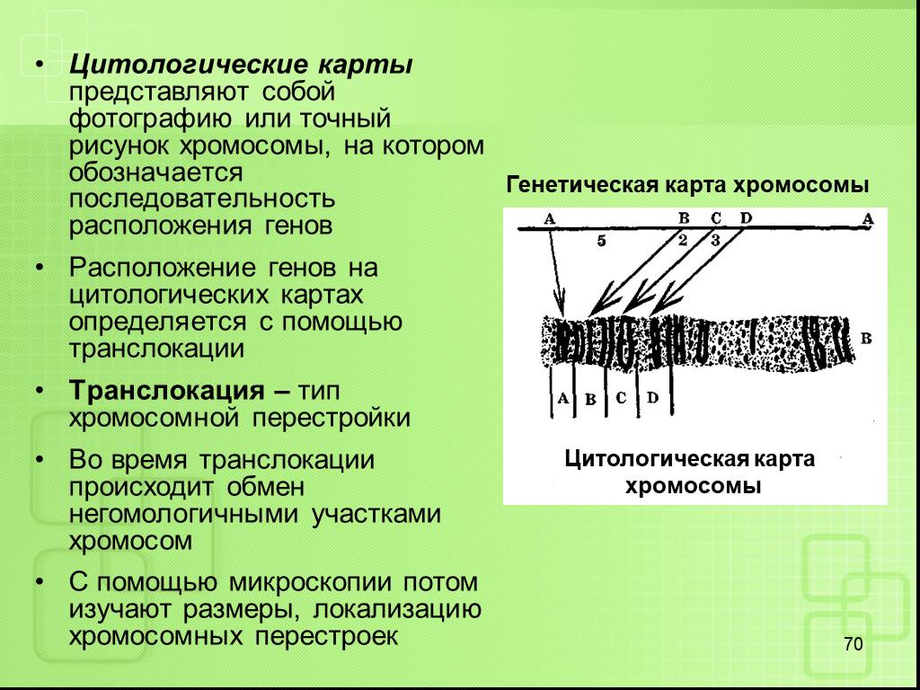 Хромосомная карта это в биологии