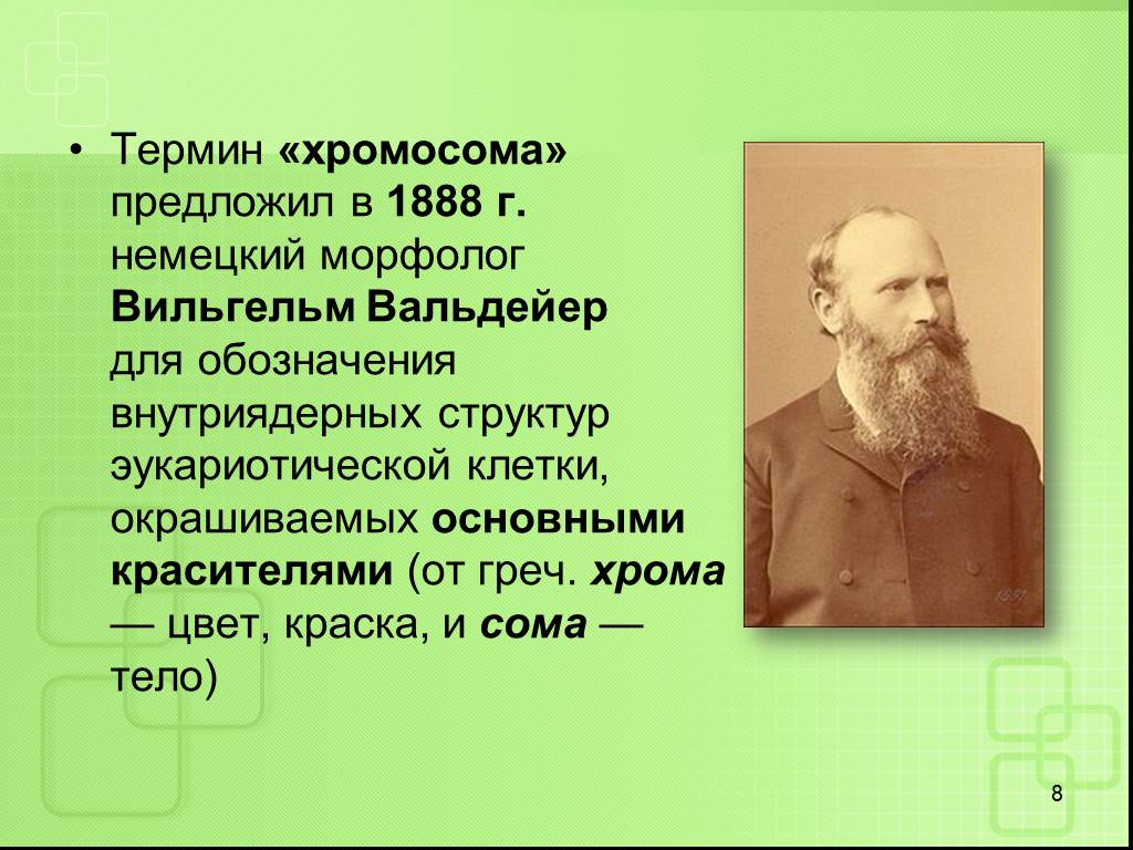 Термин хромосома. Генрих Вальдейер. Вальдейер генетика. Вальдейер хромосома.