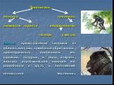 Дриопитеки понгиды гоминиды шимпанзе горилла австралопитек человек умелый Вывод: происхождение человека от обезьян, ведущих древесный образ жизни, предопределило особенности его строения, которые, в свою очередь, явились анатомической основой его способности к труду и дальнейшей социальной эволюции.