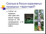 Сколько в России охраняемых природных территорий? Сейчас на огромных пространствах нашей Родины находится 100 заповедников и 33 национальных парка.