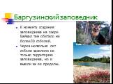 Баргузинский заповедник. К моменту создания заповедника на озере Байкал там обитало не более30 соболей. Через несколько лет соболи заселили не только территорию заповедника, но и вышли за ее пределы.
