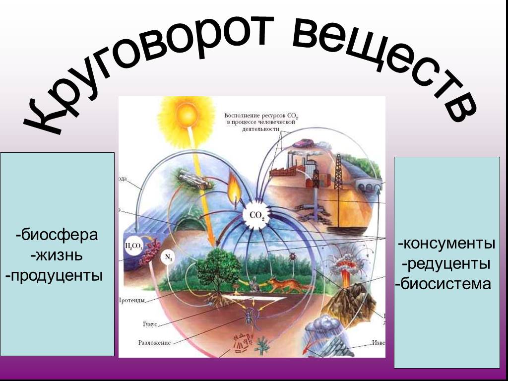 Биосфера презентация 9 класс биология. Круговорот веществ в биосфере. Круговорот в биосфере. Жизнь в биосфере. Круговорот веществ и энергии в биосфере.