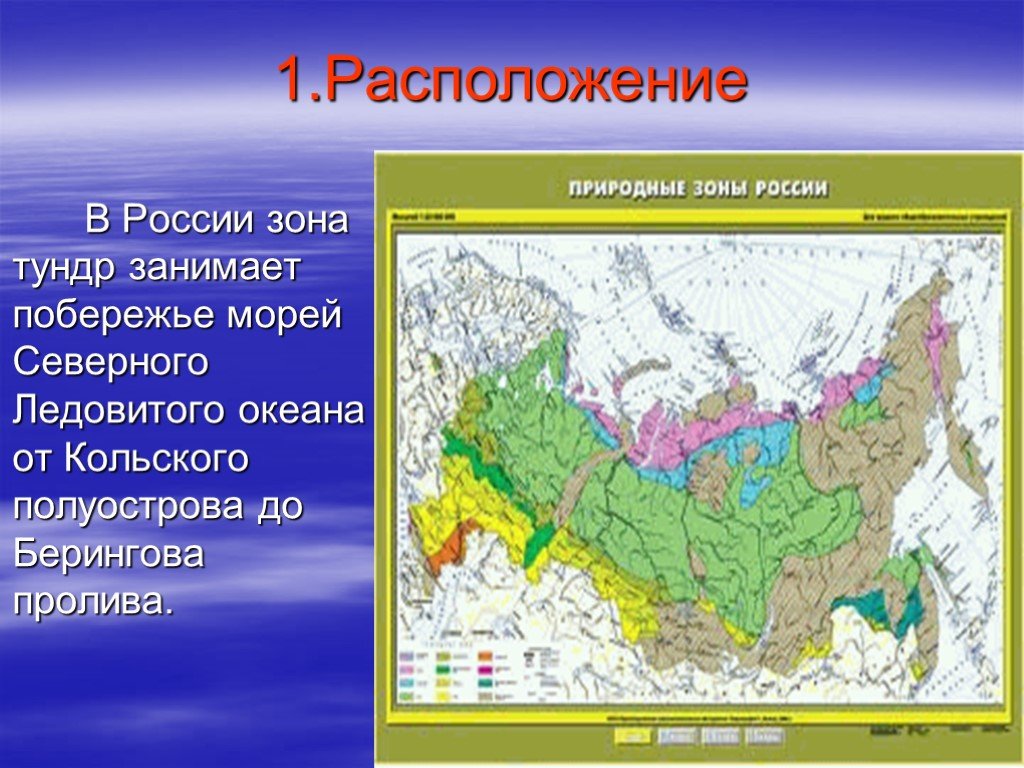Зона расположена вдоль побережья северного ледовитого океана. Карта зон России Северный Ледовитый океан. Природные зоны России тундра местоположение. Местоположение природной зоны тундры. Рельеф тундры на карте.