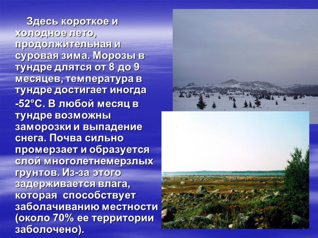 Природная зона продолжительная морозная зима. Природные условия тундры. Короткое и Холодное лето в тундре. Климатические условия тундры в России. Особенности природных условий тундры.