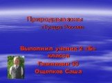 Природные зоны «Тундра России». Выполнил ученик 2 «Б» класса Гимназии 33 Ощепков Саша