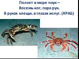 Ползет в море паук – Восемь ног, пара рук. В руках клещи, в глазах испуг. (КРАБ)