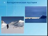 Антарктическая пустыня