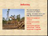 The most developed industries are timber, mining, chemical, meat and milk and food industries. Наиболее развитые отрасли промышленности: лесная, горнодобывающая, химическая, мясная, молочная и пищевая.