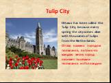 Tulip City. Ottawa has been called the Tulip City, because every spring the city comes alive with thousands of tulips from the Netherlands. Оттава названа городом тюльпанов, потому что каждую весну город оживает тысячами тюльпанов из Голландии.