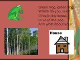 Green frog, green frog, Where do you live? I live in the forest, I live in the zoo. And what about you?