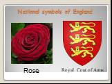 National symbols of England Royal Coat of Arms Rose