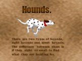 Hounds. There are two types of hounds, sight hounds and scent hounds. The difference between them is if they sight or smell to find what they are hunting for.