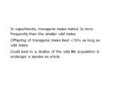 In experiments, transgenic males mated 3x more frequently than the smaller wild males Offspring of transgenic males lived