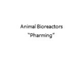 Animal Bioreactors “Pharming”