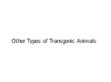 Other Types of Transgenic Animals