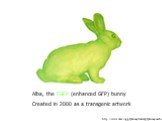 Alba, the EGFP (enhanced GFP) bunny Created in 2000 as a transgenic artwork. http://www.ekac.org/gfpbunny.html#gfpbunnyanchor