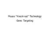 Mouse “Knock-out” Technology Gene Targeting