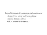 Some of the goals of transgenic animal creation are: Research into animal and human disease Improve livestock animals Use of animals as bioreactors
