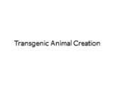 Transgenic Animal Creation