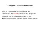 Some of the drawbacks of these methods are: The inserted DNA randomly integrates into the genome The eggs must be harvested & fertilized in vitro More than one copy of the gene may get into the genome. Transgenic Animal Generation