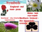 England- red rose- роза Wales- leek лук-порей. Scotland - the thistle-чертополох. Northern Ireland - the shamrock-клевер. Symbols
