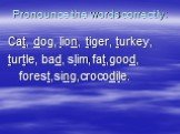Pronounce the words correctly: Cat, dog, lion, tiger, turkey, turtle, bad, slim,fat,good, forest,sing,crocodile.
