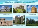 In Ireland survived many castles Dublin Castle Castle Cashel Kilkenny Castle Bunratty Castle Ashford Castle Redwood Castle
