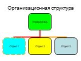 Организационная структура