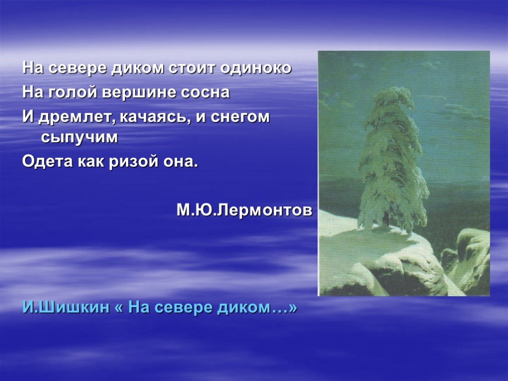 На севере диком лермонтов. И дремлет качаясь и снегом сыпучим. На севере диком стоит одиноко сосна. На севере диком стоит одиноко Лермонтов.