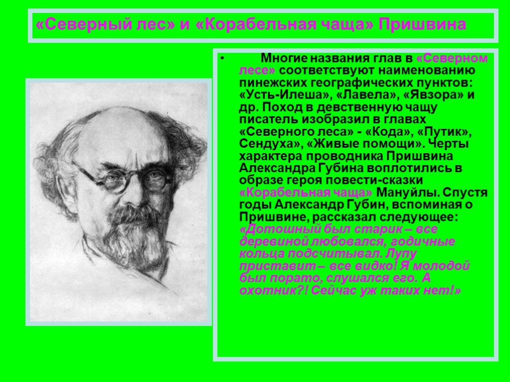 Пришвин корабельная. Корабельная чаща пришвин. Северный лес пришвин. Пришвин презентация. Пришвин на севере.