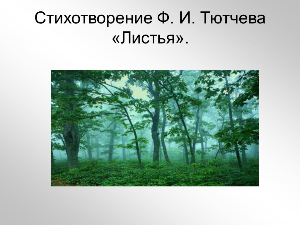 Стихотворение тютчева листья. Листья Тютчева. Иллюстрация к стихотворению Тютчева листья. Презентация к стихотворению. Ф.И.Тютчева 