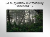 «Ель рукавом мне тропинку завесила…»