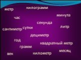 метр час килограмм минута сантиметр сутки секунда литр год дециметр квадратный метр век грамм километр месяц