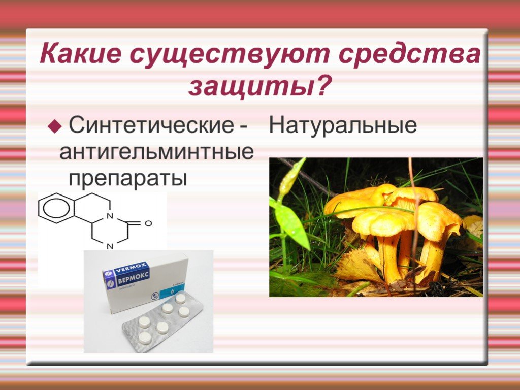 Какие существуют средства. Антигельминтная защита. Какие природные лекарства существуют в природе. Какие бывают средства производства.