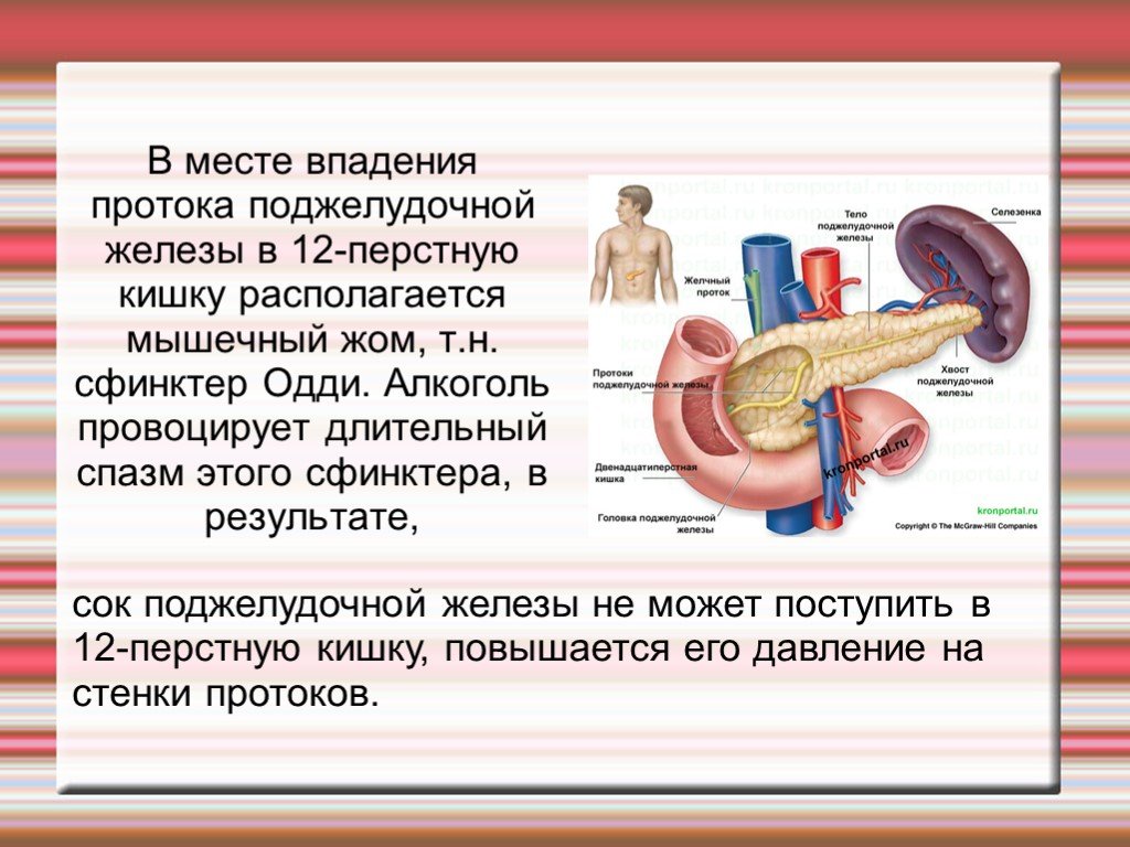 Снять спазм сфинктера при трещине. 12 Перстная кишка проток поджелудочной железы. Впадают протоки поджелудочной железы. Выпадабт потоки поджелудочной железы. Сфинктер протока поджелудочной железы.