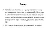 Ветер. Колебания листвы и т.д. приводят к тому, что картинка получается нерезкой. Поэтому если необходимо снимать во время ветра – нужно установить минимально возможную выдержку и при необходимости увеличить ISO. Но лучше дождаться, когда ветер утихнет.