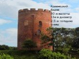 Каменецкий башня 30 м высоты 13м в диаметр 2,5 м толщина стены «Белая вежа»
