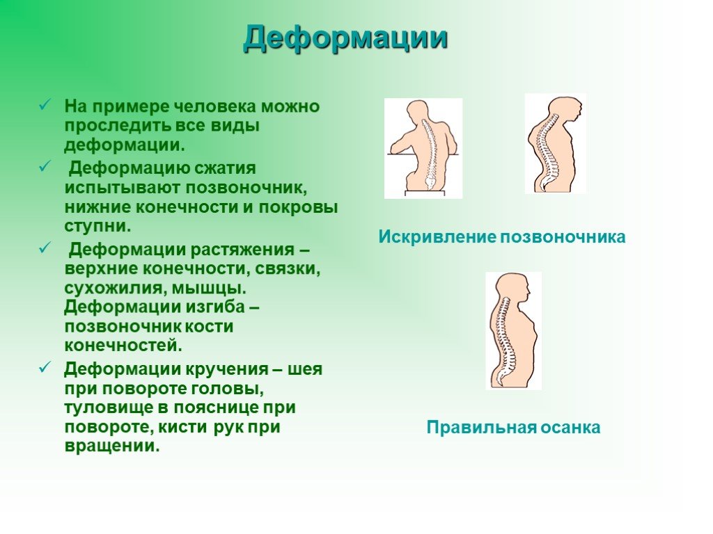 Деформацию сжатия испытывают