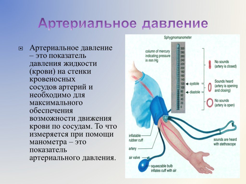 Среднее давление какой сосуд. Артириально ЕДАВЛЕНИЕ. Arterialnaya davleniya. Артериальное кровяное давление. Измерение давления крови.